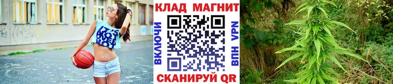 Как найти закладки Валдай МАРИХУАНА  МЕФ  КОКАИН  Гашиш 