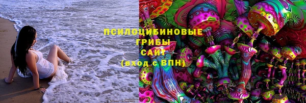 PSILOCYBIN Сатка