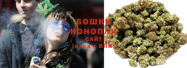 шишки Армянск