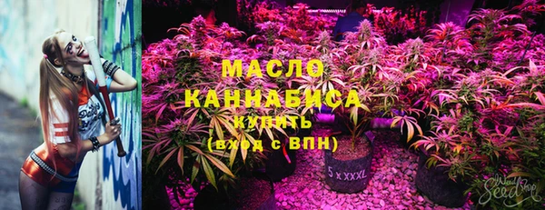 шишки Армянск