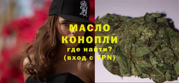 индика Саяногорск