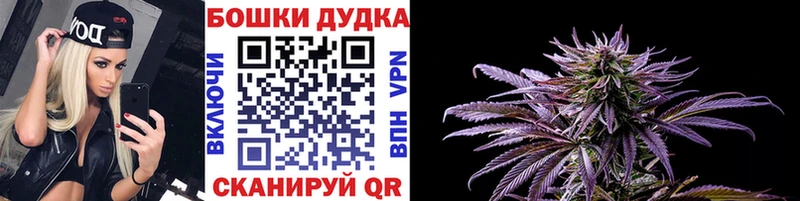 хочу   Валдай  Бошки марихуана планчик 